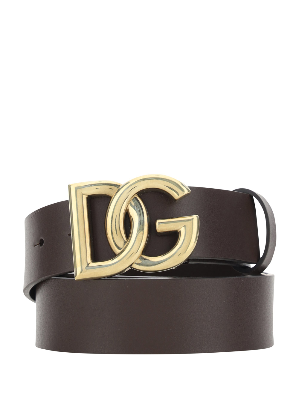 Dolce & Gabbana Tosca Belt In Moro/oro