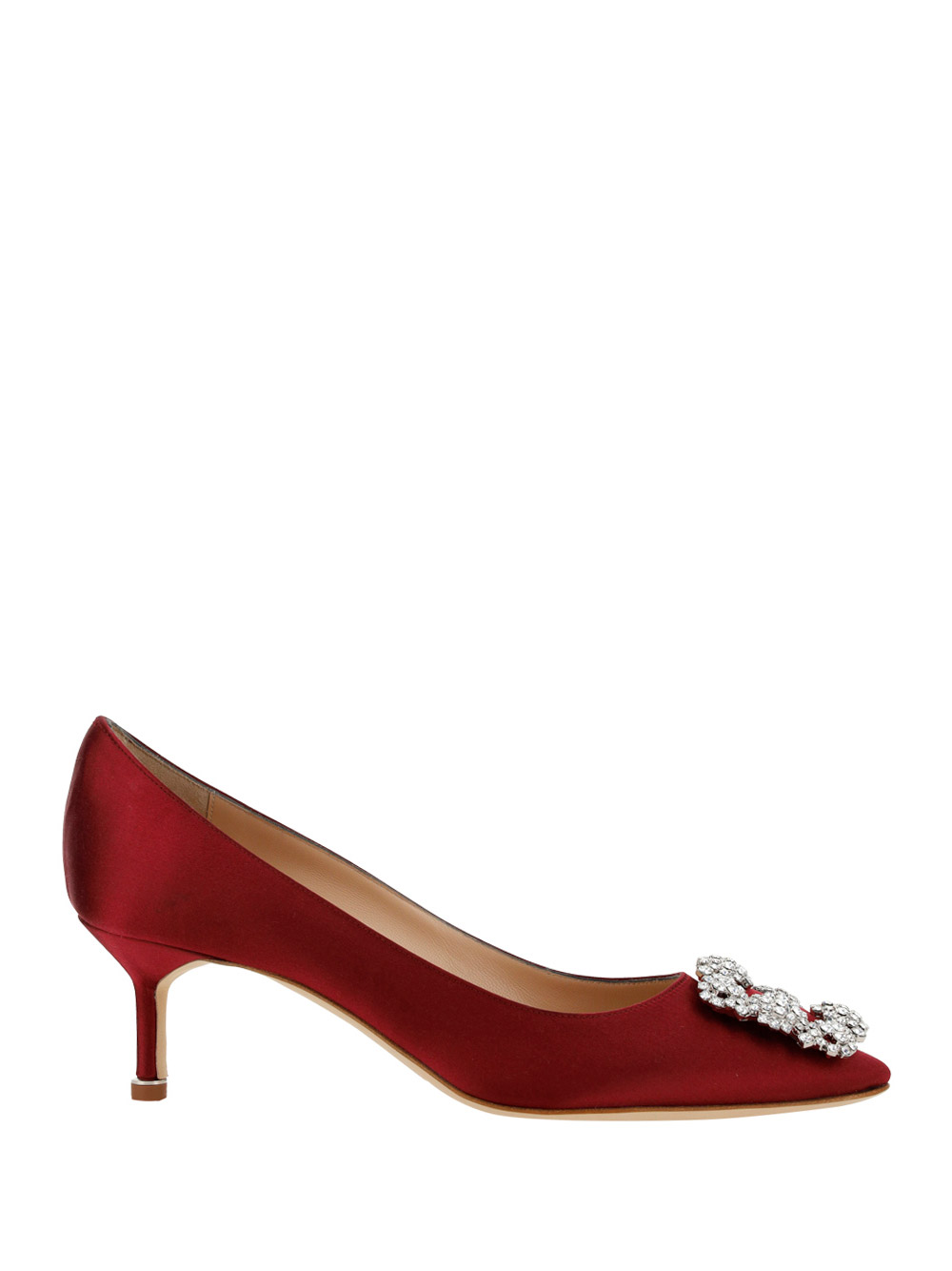 Manolo Blahnik Hangisi Pumps In Dred