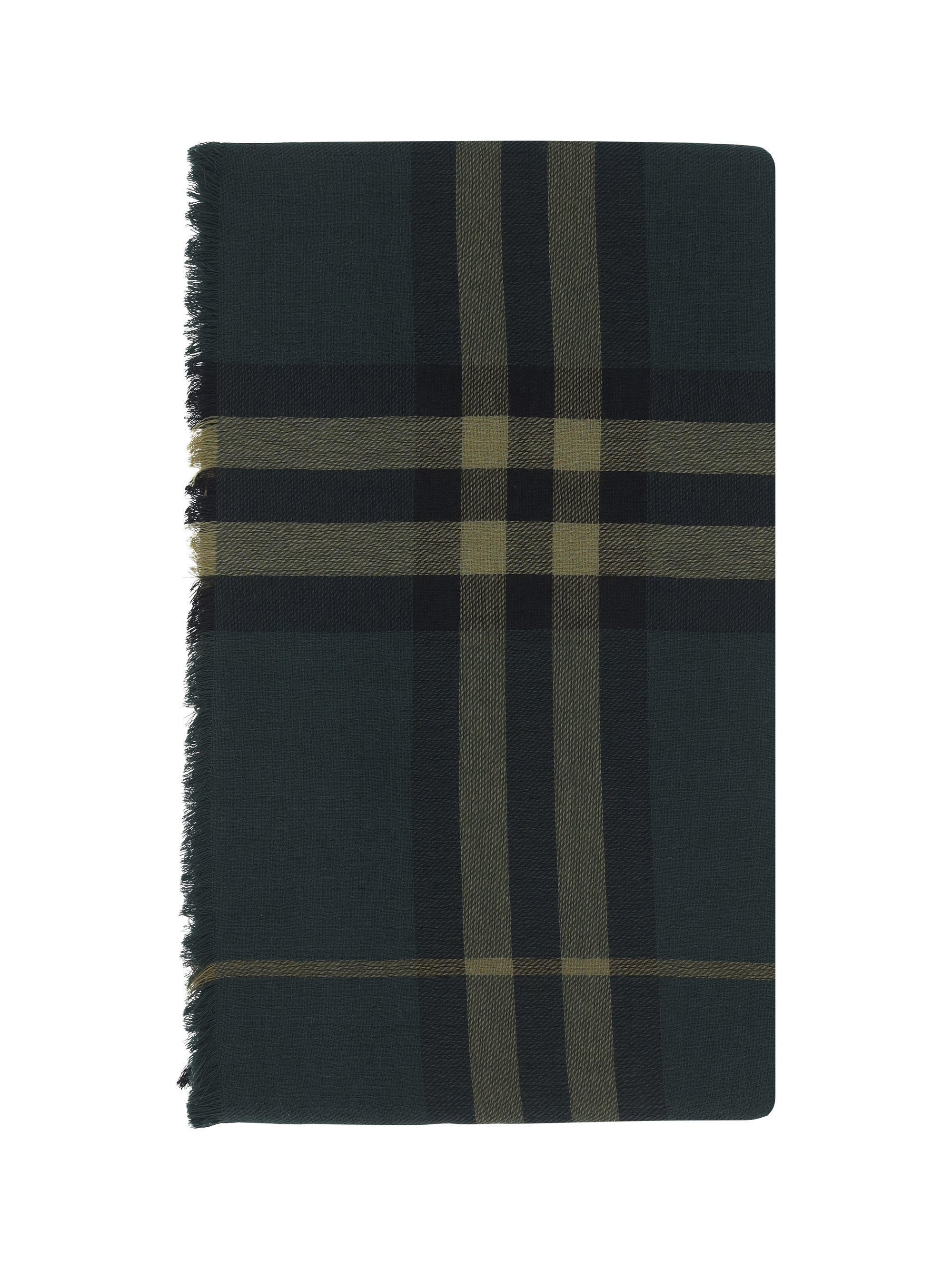 Shop Burberry Scarf In Shadow