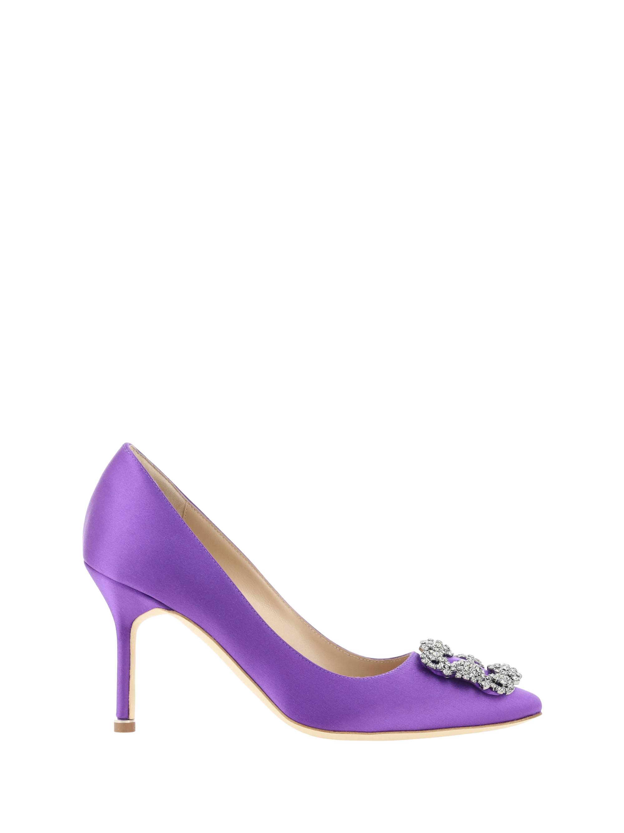 Shop Manolo Blahnik Hangisi Pumps In Bpur