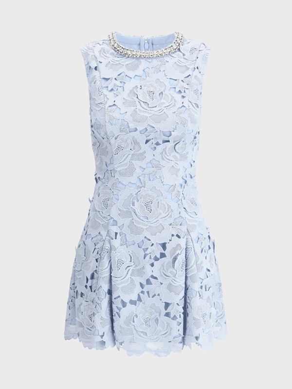 lace Mini Dress with jewel...