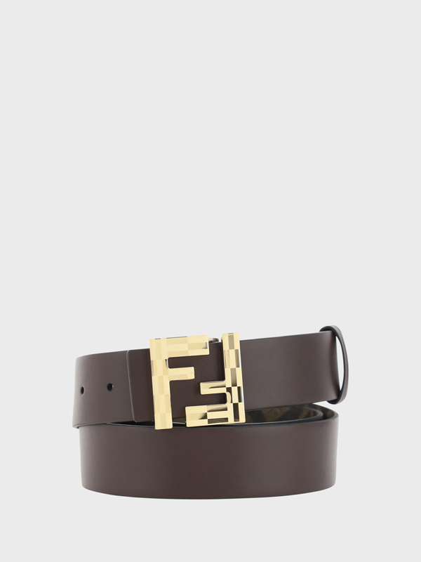 Reversible Belt