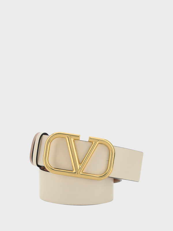 Reversible Belt