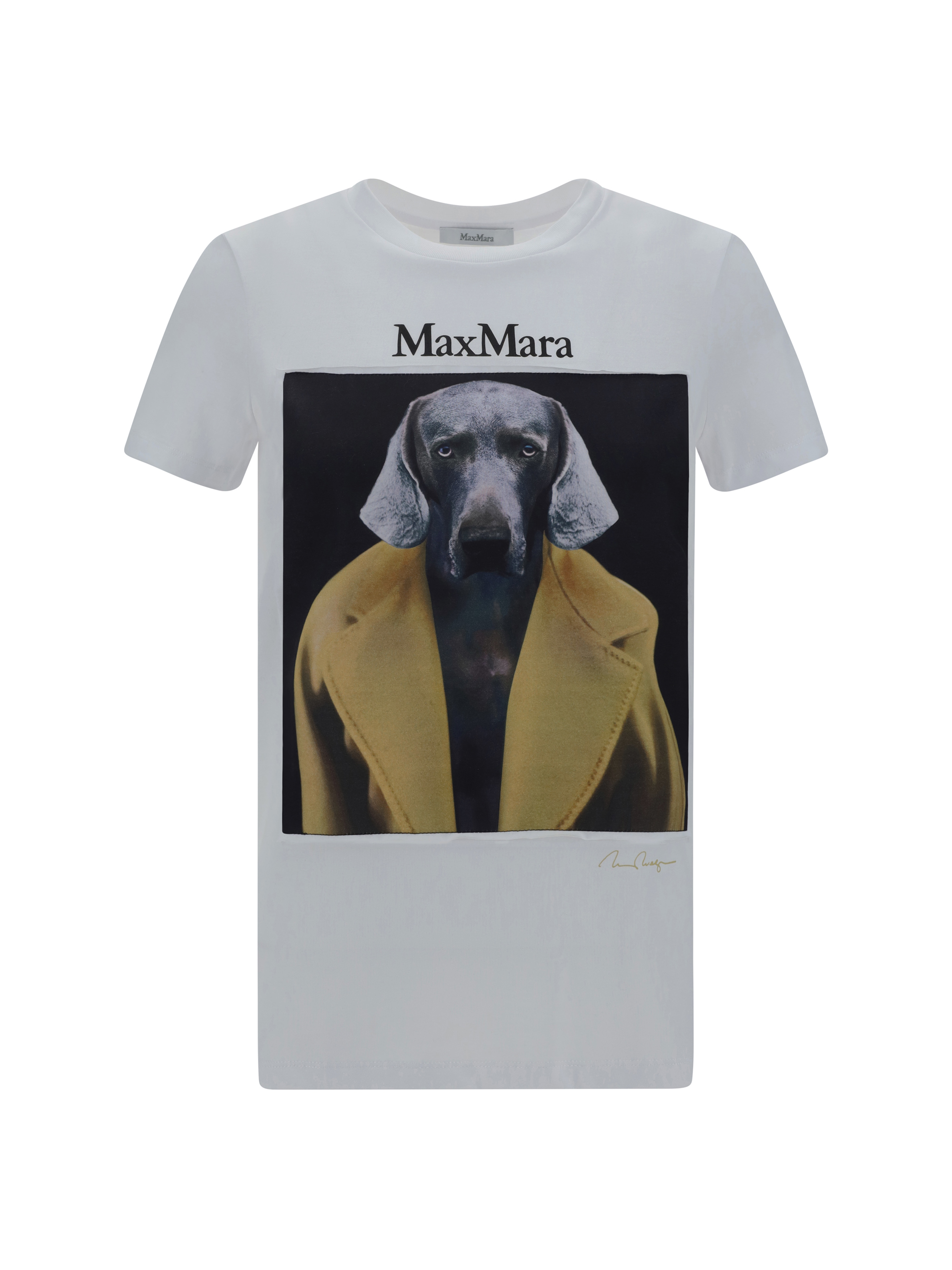 MAX MARA CIPRIA コットンジャージー Tシャツ S