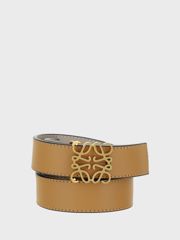 Reversible Anagram Belt