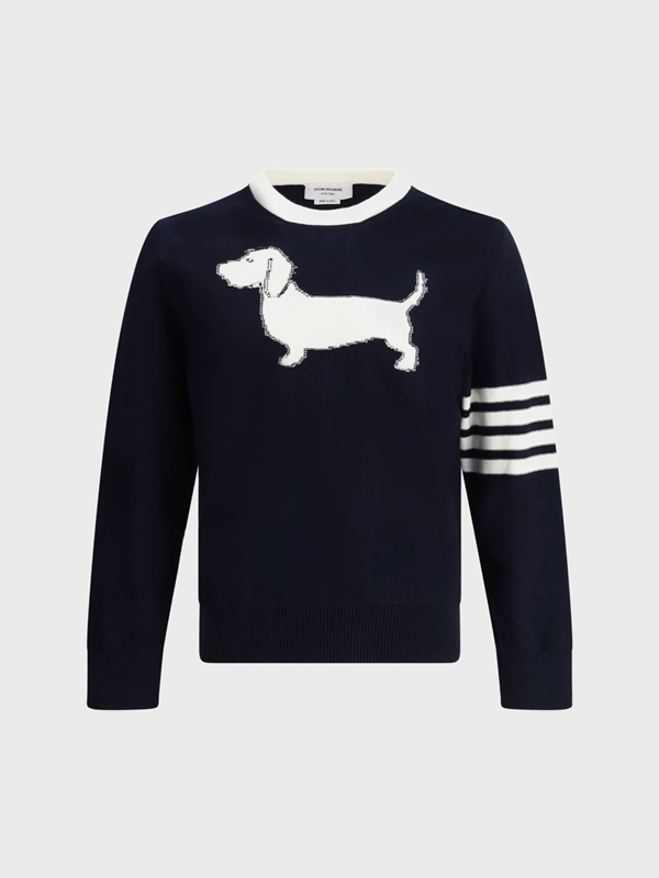  Sweater with dachshund