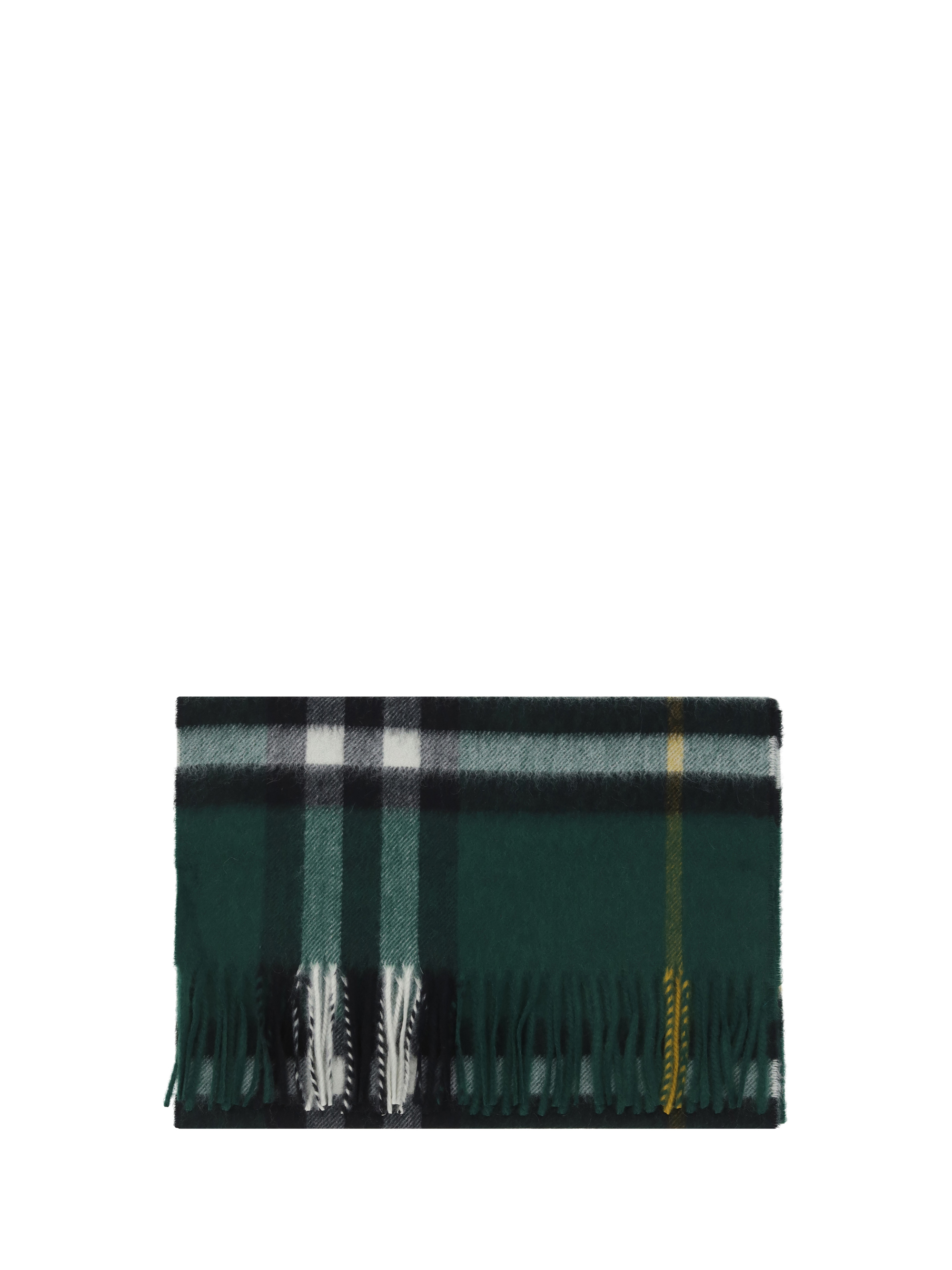 Shop Burberry Scarf In Dark Fern Green