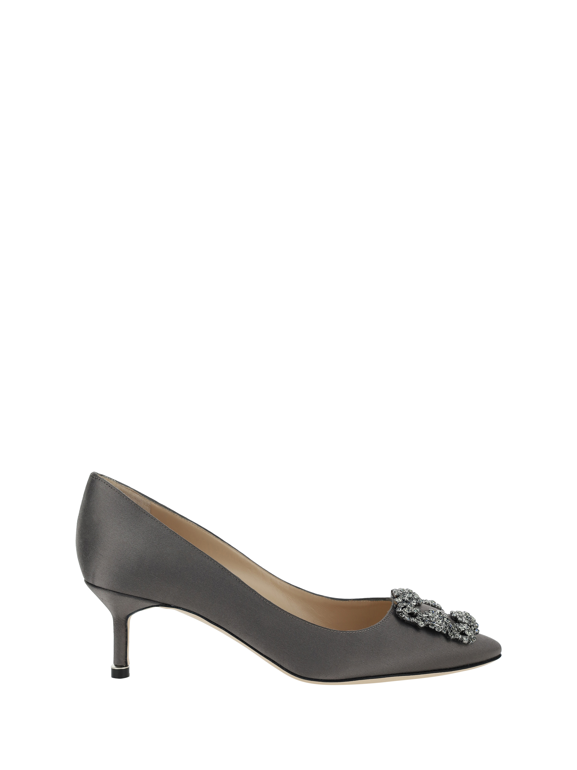 Shop Manolo Blahnik Hangisi Pumps In Dgry