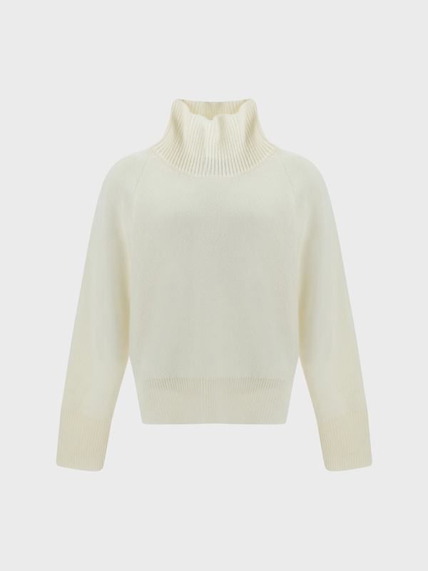 Turtleneck Sweater