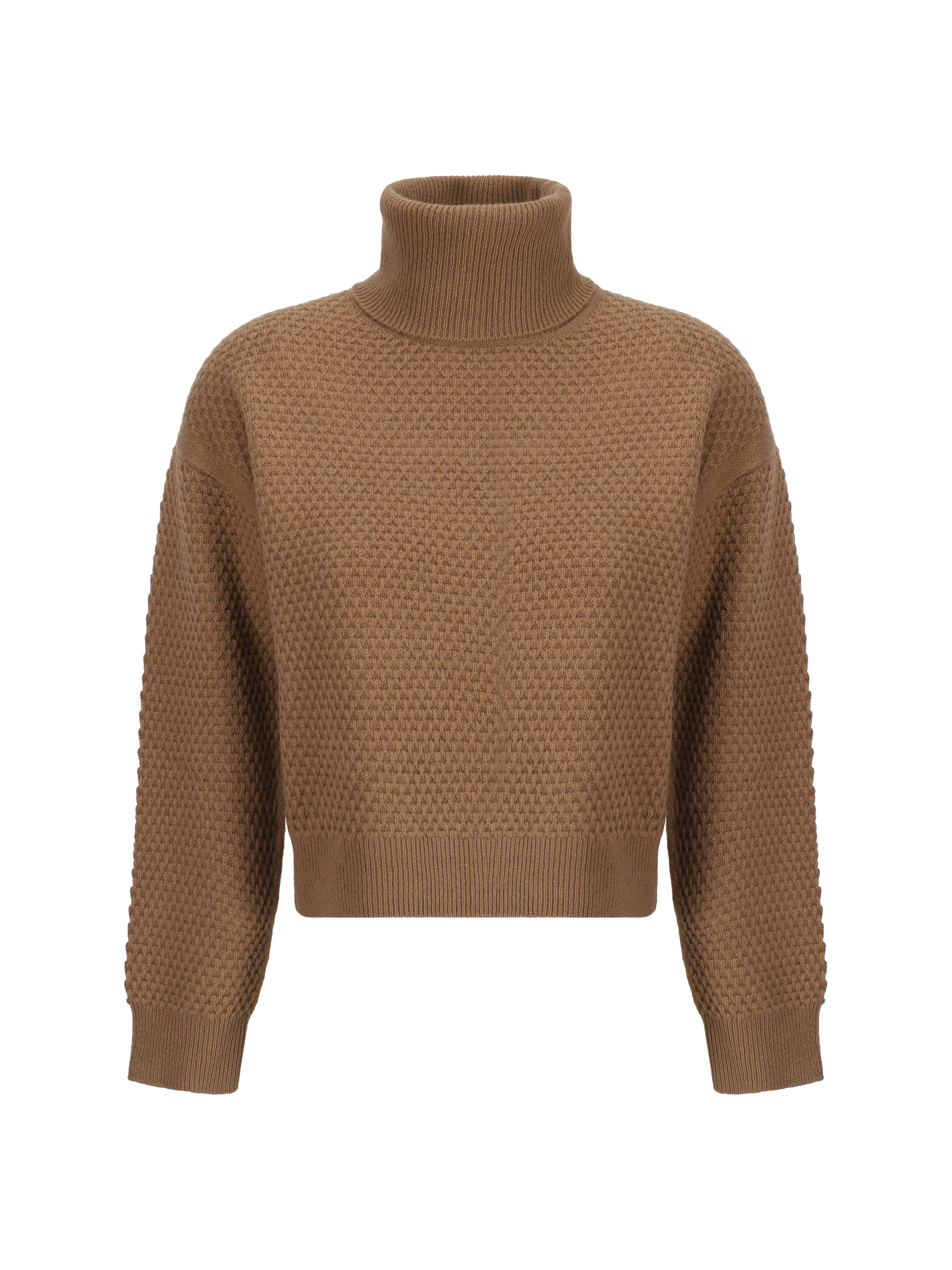 Shop Max Mara Turtleneck Sweater In Cammello