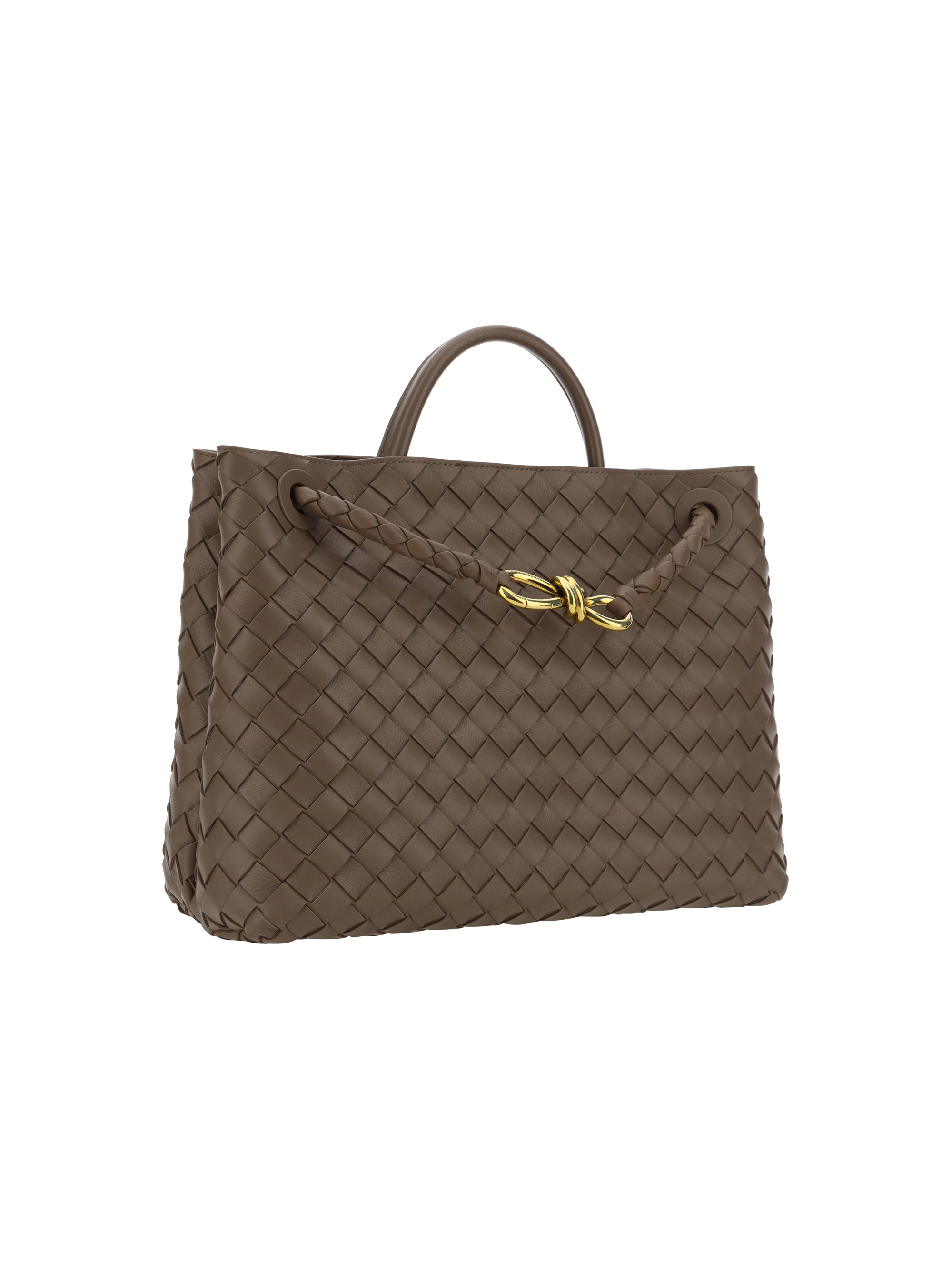 Andiamo Small Leather Tote Bag in Brown - Bottega Veneta