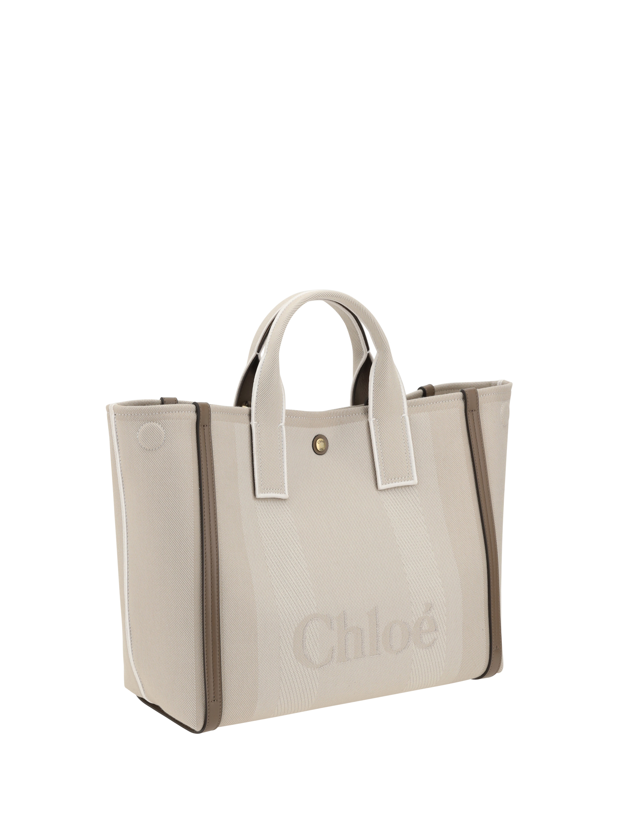 Carry Handbag