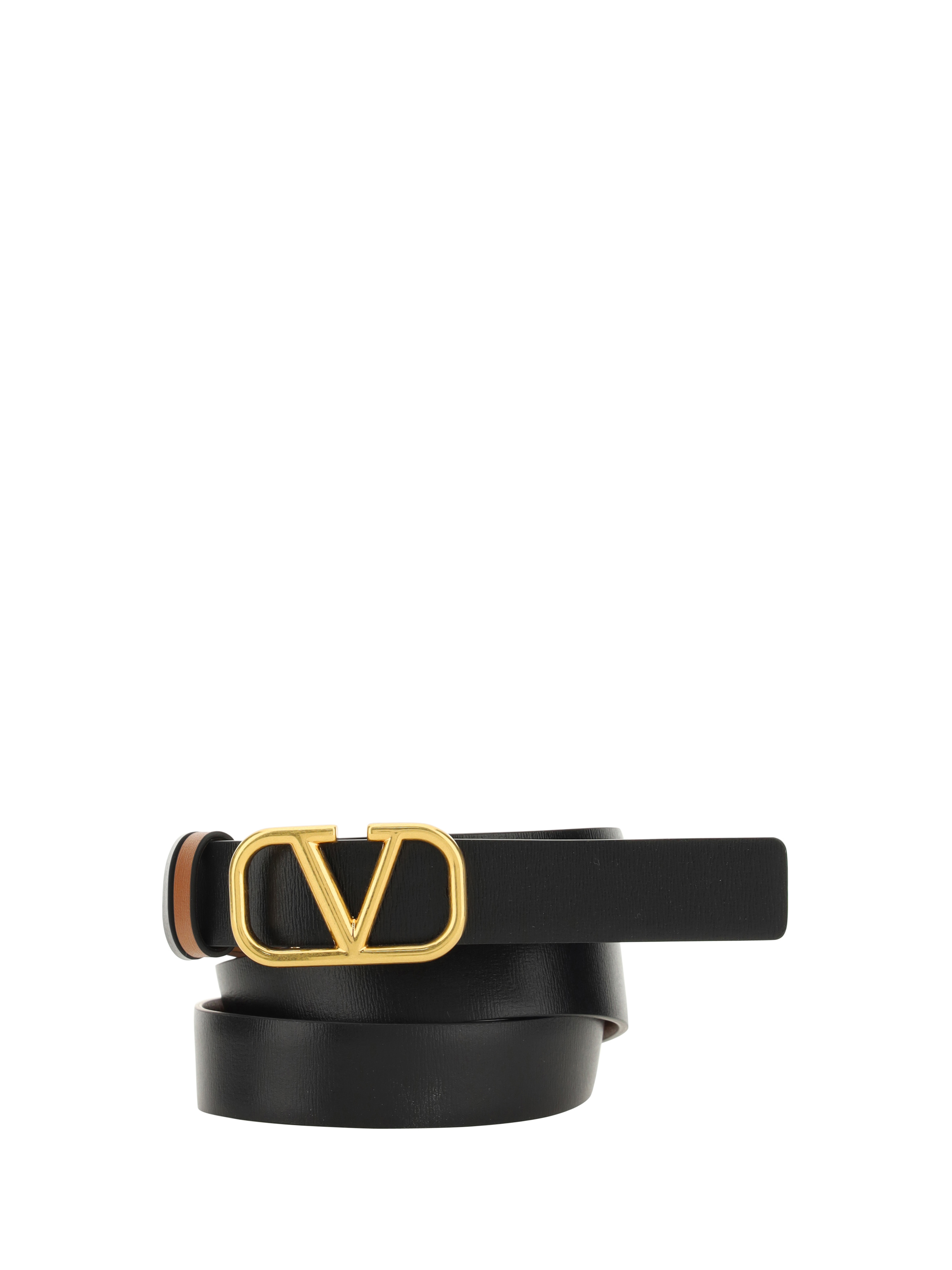 Reversible Belt