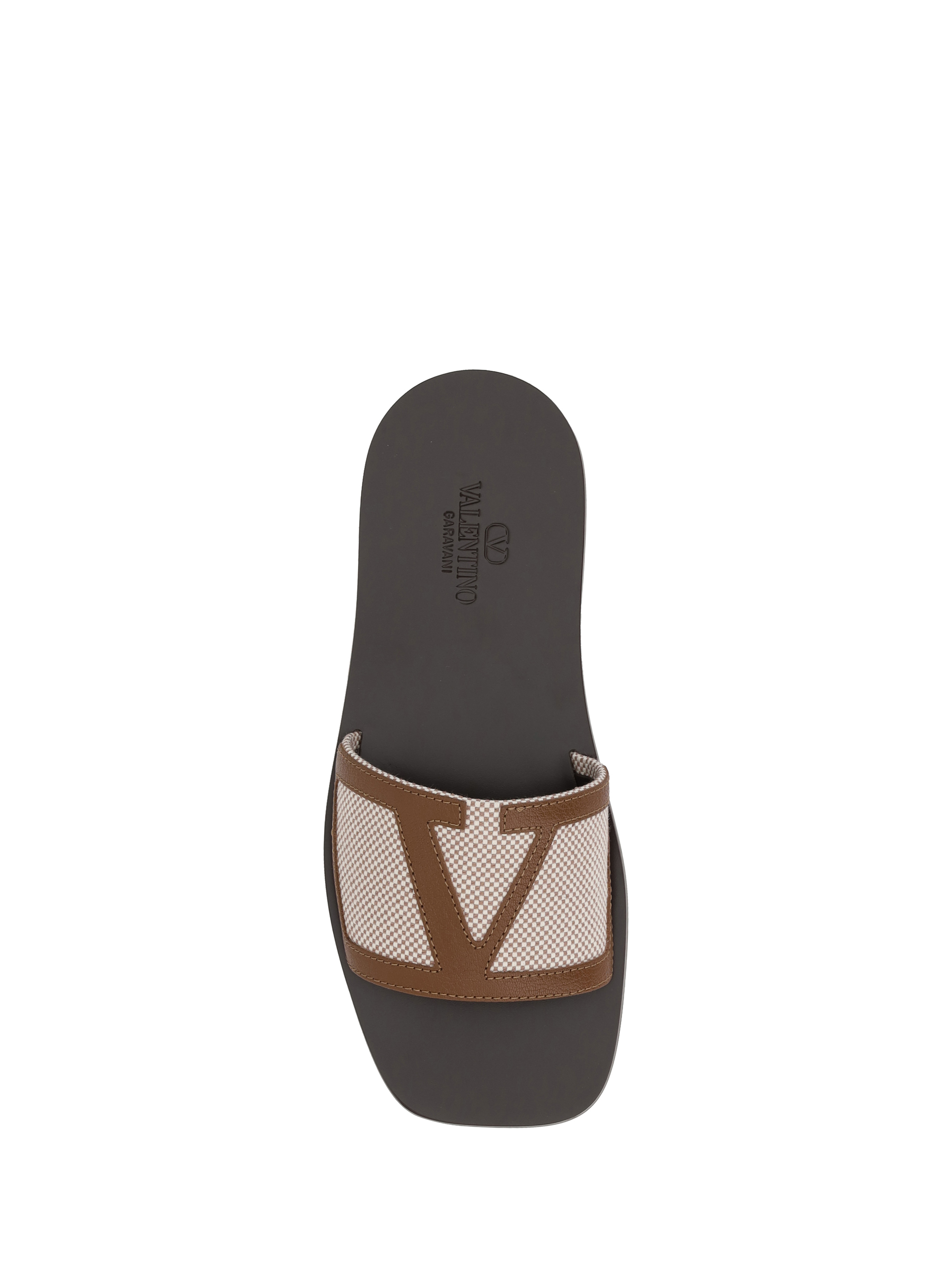 VLogo Slide