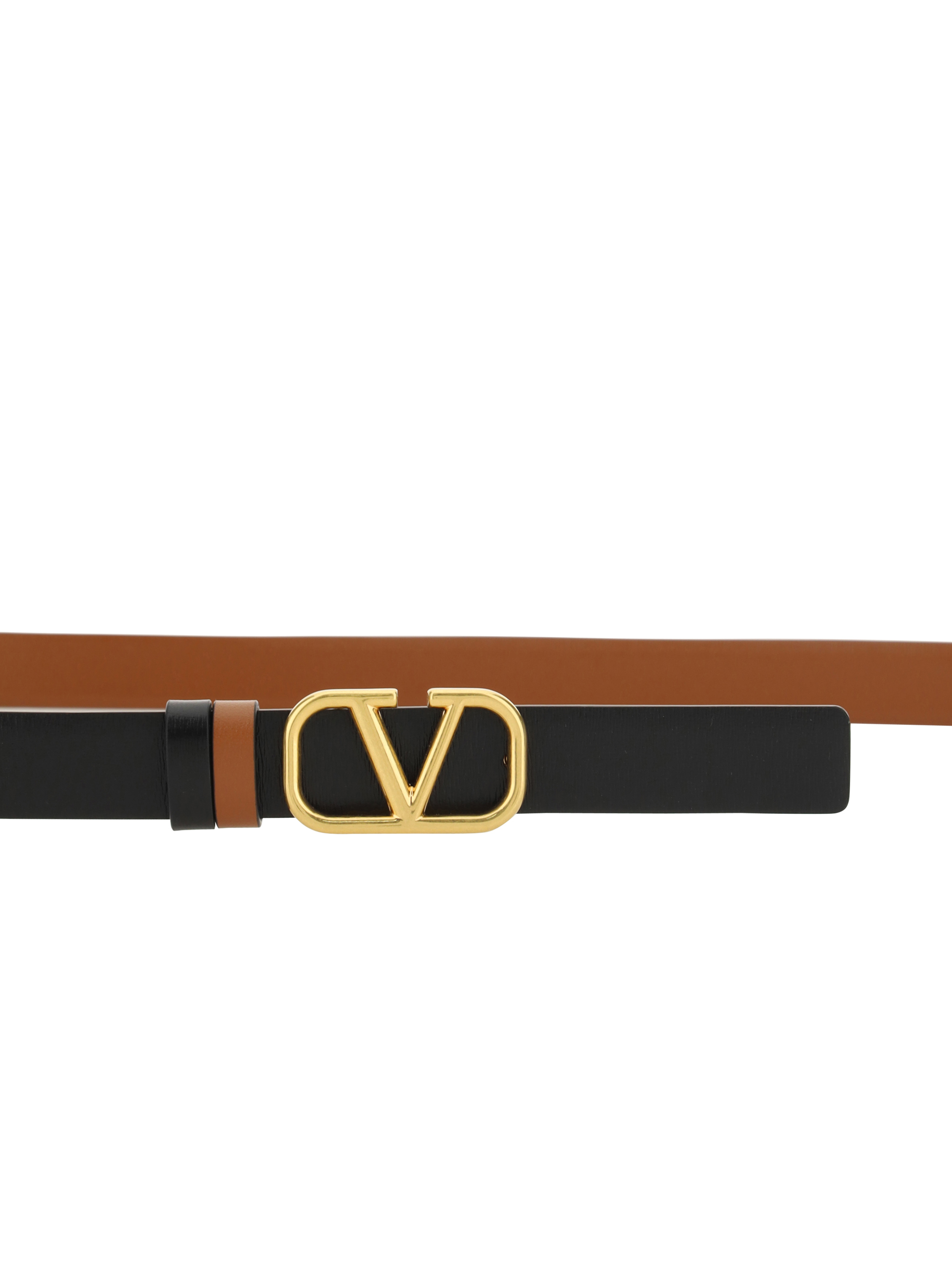 Reversible Belt
