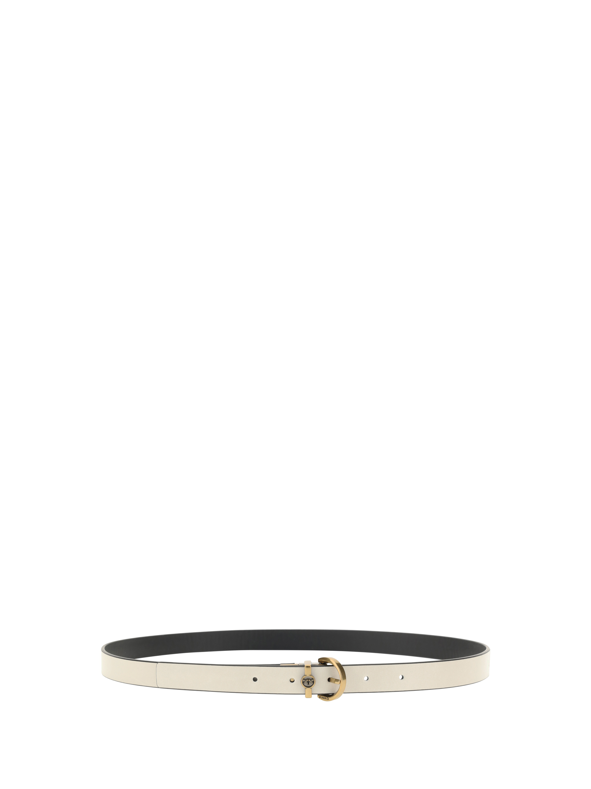 Reversible Belt