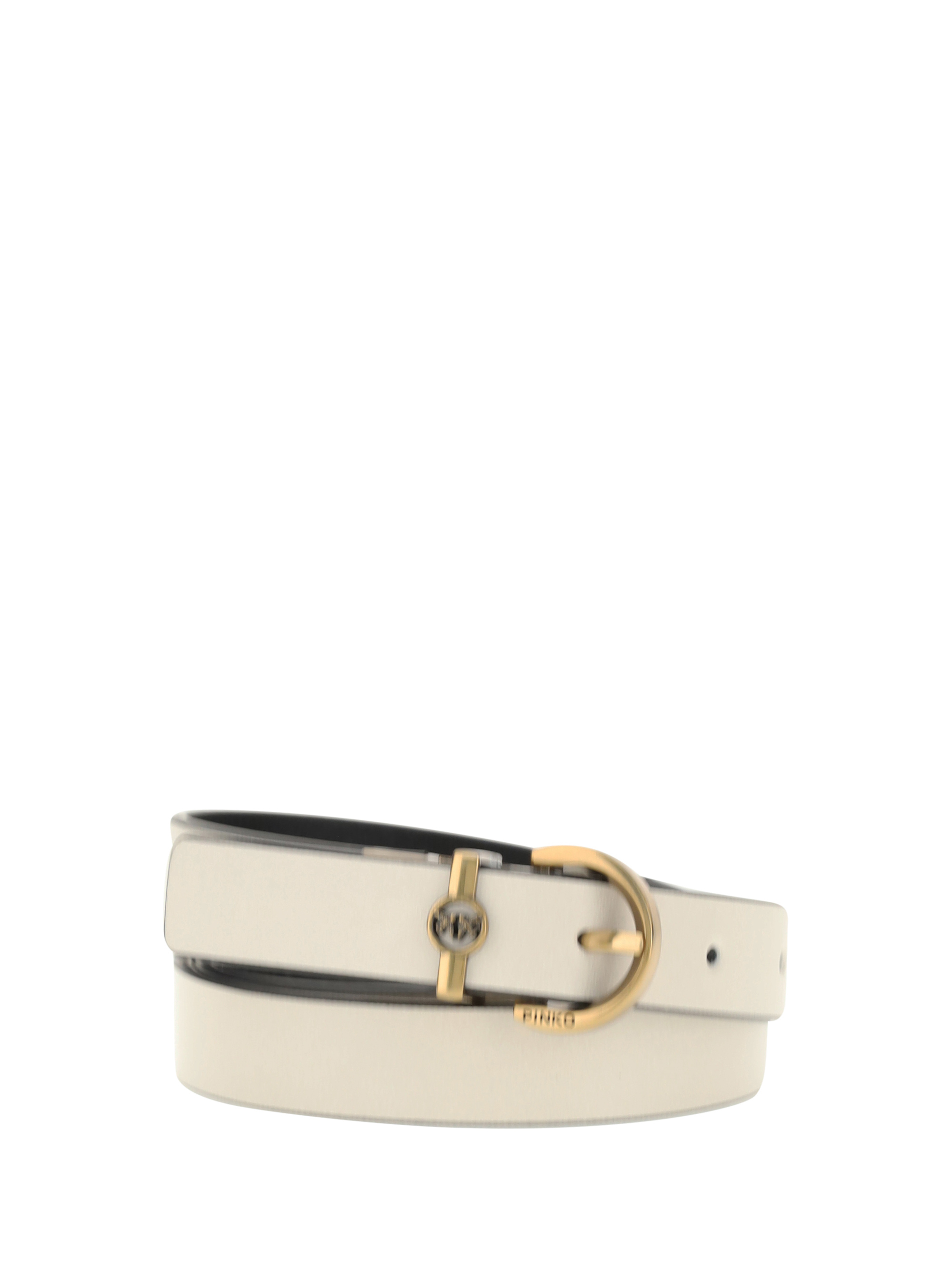 Reversible Belt
