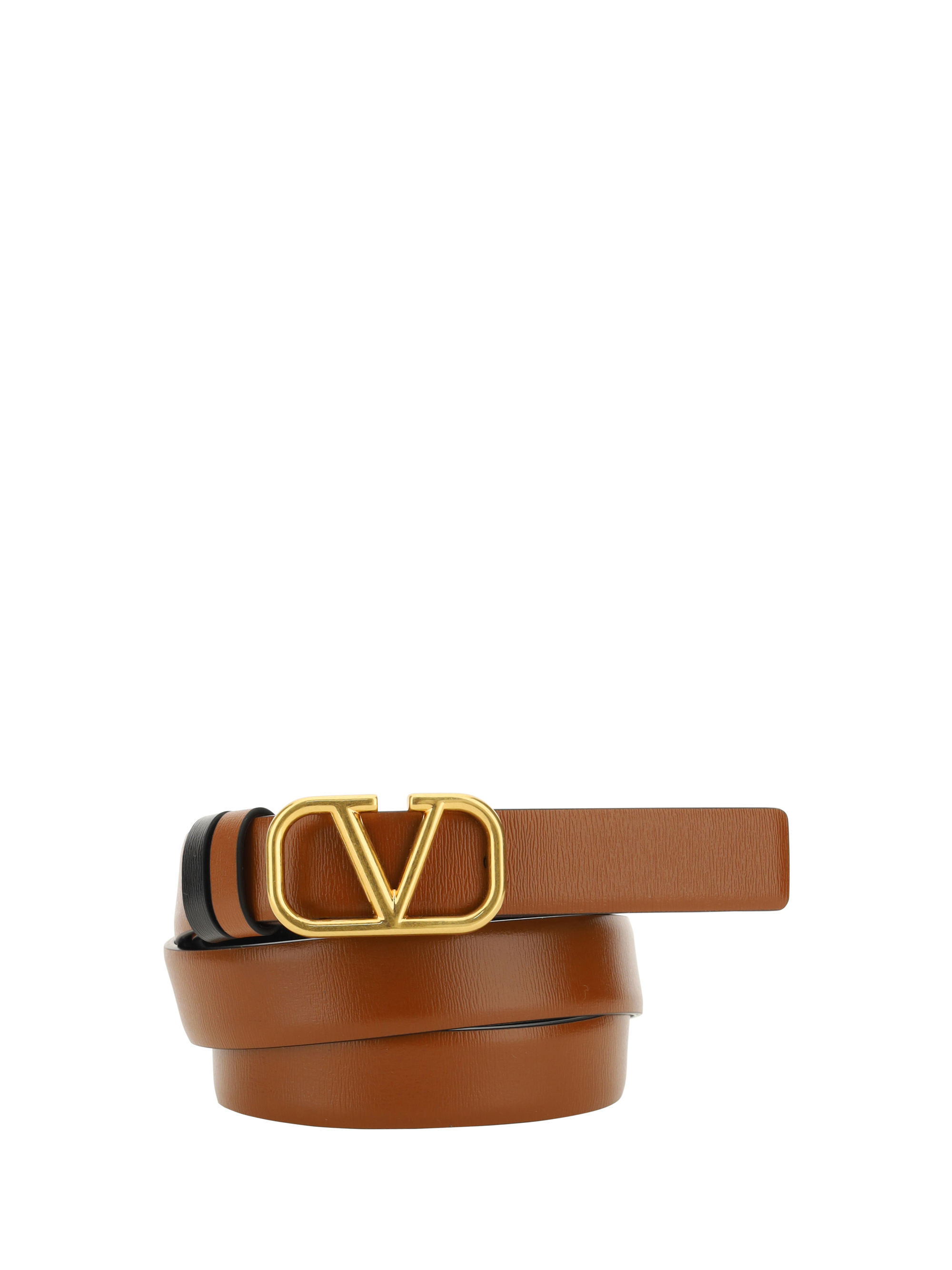 Reversible Belt